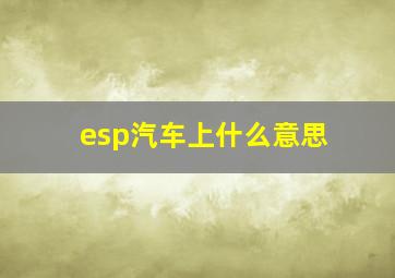 esp汽车上什么意思