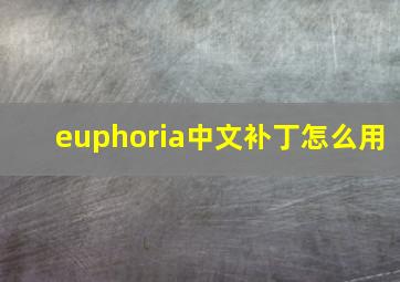 euphoria中文补丁怎么用