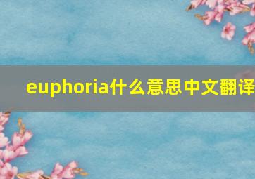 euphoria什么意思中文翻译