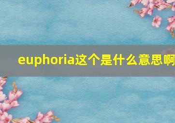 euphoria这个是什么意思啊