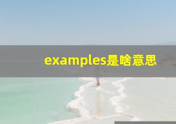 examples是啥意思