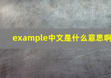 example中文是什么意思啊