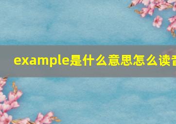 example是什么意思怎么读音