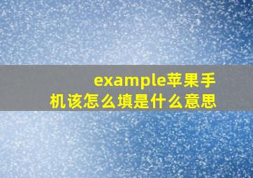 example苹果手机该怎么填是什么意思