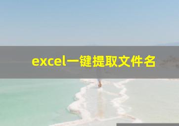 excel一键提取文件名