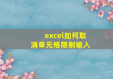 excel如何取消单元格限制输入