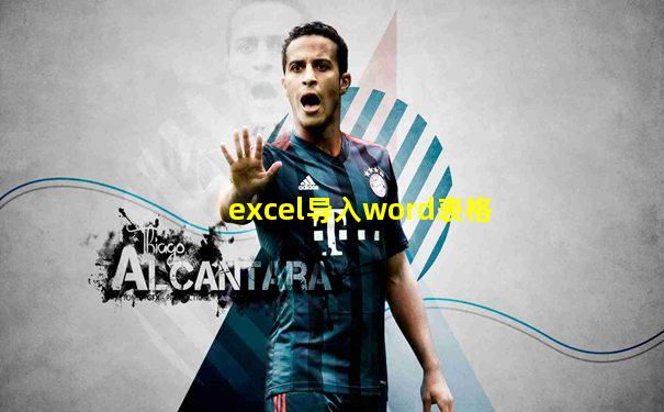 excel导入word表格