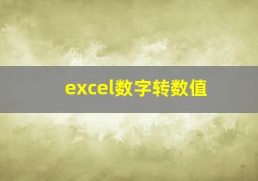 excel数字转数值