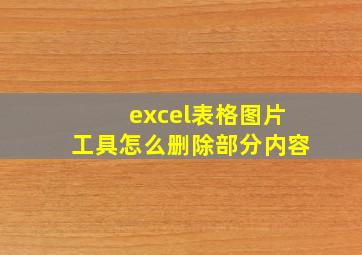 excel表格图片工具怎么删除部分内容