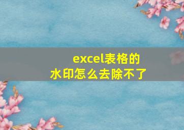 excel表格的水印怎么去除不了