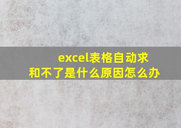 excel表格自动求和不了是什么原因怎么办