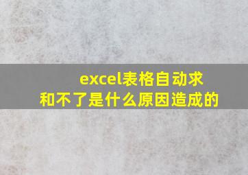 excel表格自动求和不了是什么原因造成的