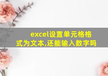 excel设置单元格格式为文本,还能输入数字吗