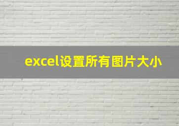 excel设置所有图片大小