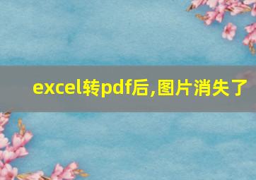 excel转pdf后,图片消失了