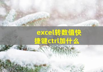 excel转数值快捷键ctrl加什么