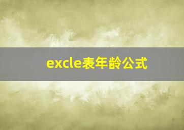 excle表年龄公式