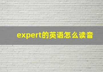 expert的英语怎么读音