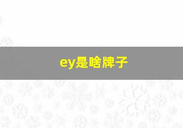 ey是啥牌子