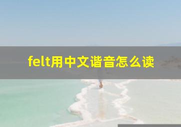 felt用中文谐音怎么读