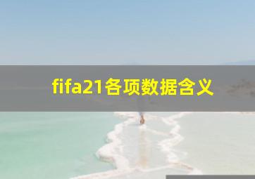 fifa21各项数据含义