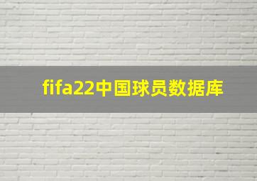 fifa22中国球员数据库