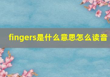 fingers是什么意思怎么读音