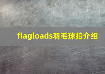 flagloads羽毛球拍介绍