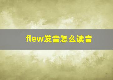 flew发音怎么读音