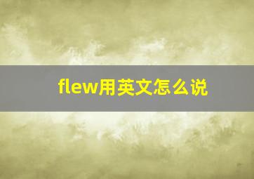 flew用英文怎么说