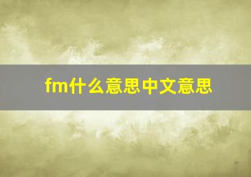 fm什么意思中文意思