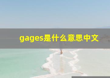 gages是什么意思中文