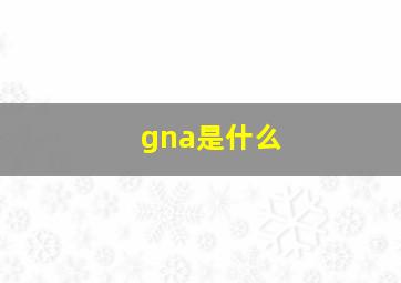 gna是什么