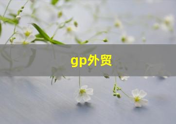 gp外贸