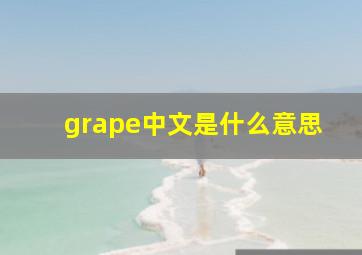 grape中文是什么意思