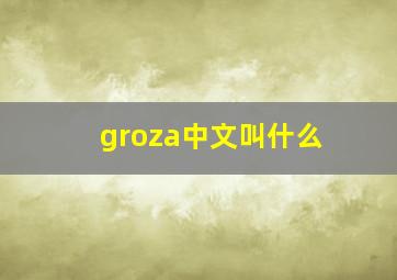 groza中文叫什么