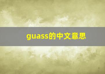 guass的中文意思