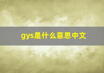 gys是什么意思中文