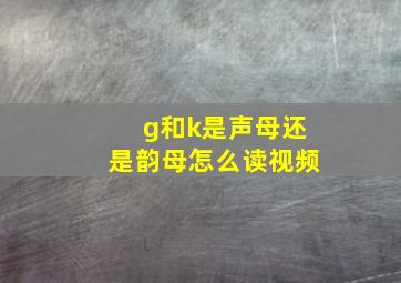 g和k是声母还是韵母怎么读视频