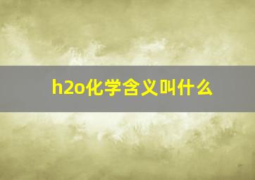 h2o化学含义叫什么