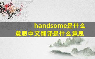 handsome是什么意思中文翻译是什么意思