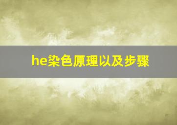 he染色原理以及步骤