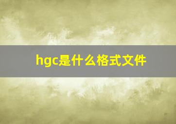 hgc是什么格式文件