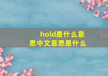 hold是什么意思中文意思是什么