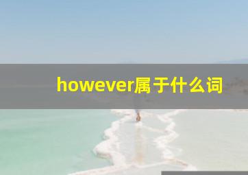 however属于什么词