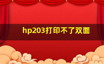 hp203打印不了双面