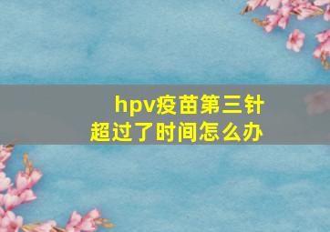 hpv疫苗第三针超过了时间怎么办