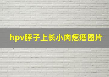 hpv脖子上长小肉疙瘩图片