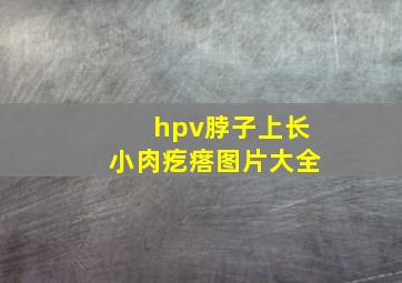 hpv脖子上长小肉疙瘩图片大全