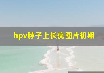 hpv脖子上长疣图片初期